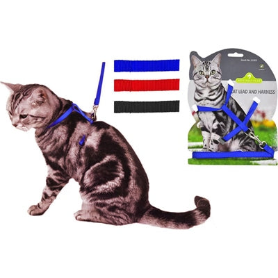 CAT LEAD & HARNESS